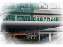 Oliebollen Luchtgenoten